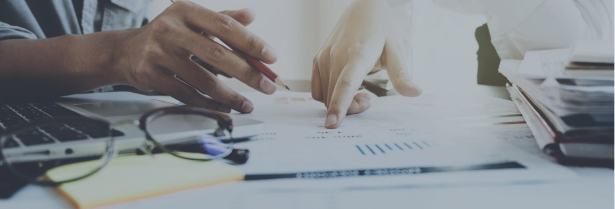TAX CONSULTING