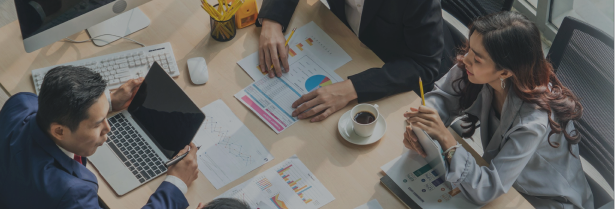 BUSINESS ADVISORY & OTHERS